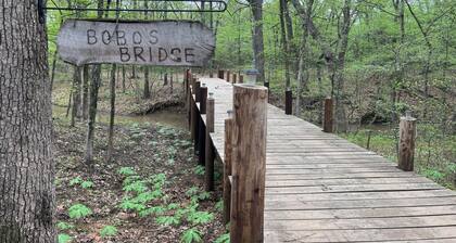 Secluded cabin in the woods with a loft on 25 acres with private walking trails.