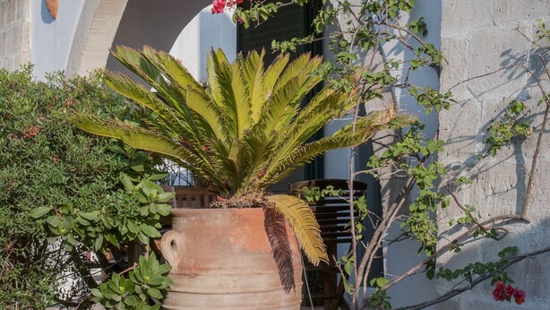 Unclassified image, 1 of 162, button - Holiday Home Near the Sea (Nardò)