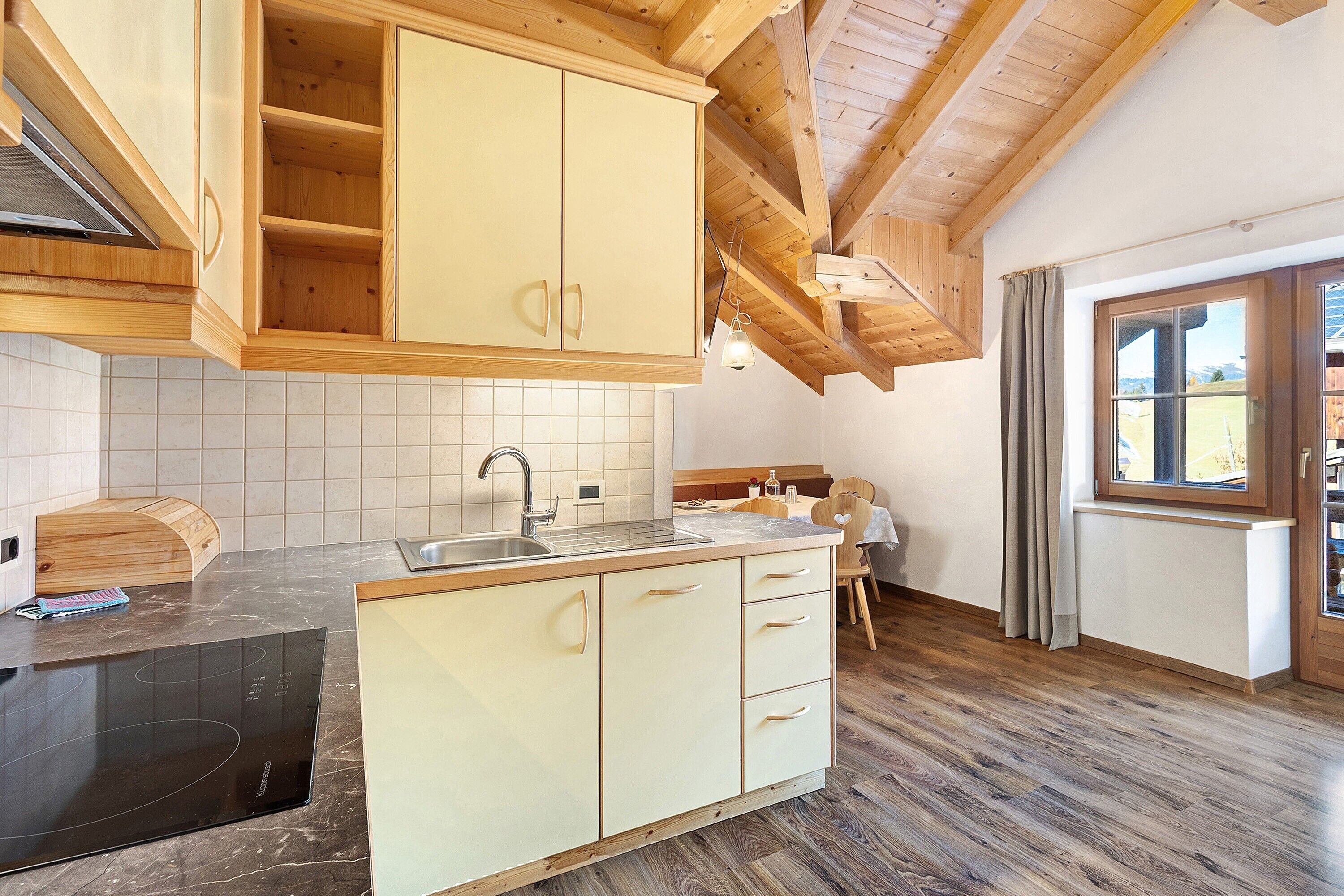 Kühlschrank, Mikrowelle, Herdplatte, Geschirrspüler