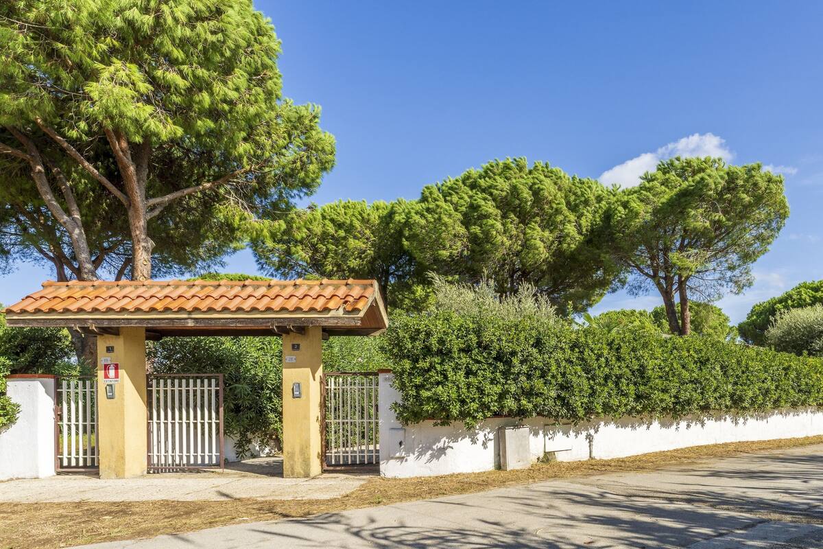 A gated entrance with a pergola, a white wall, and a large tree.