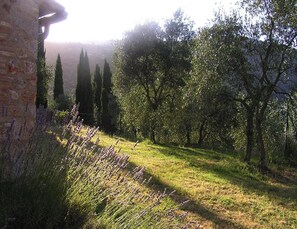 Comfort Apartment, 2 Bedrooms | Garden - Charming House in Tuscany With Pool & Views (Sovicille)