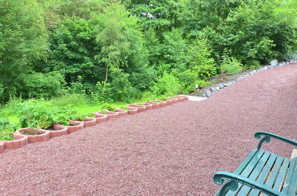 Garden - Ferienwohnung im Sauerland (Olsberg)