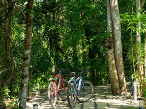 Ciclismo