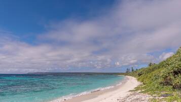 A beach with clear turquoise waters, a sandy shore, and a line of greenery.