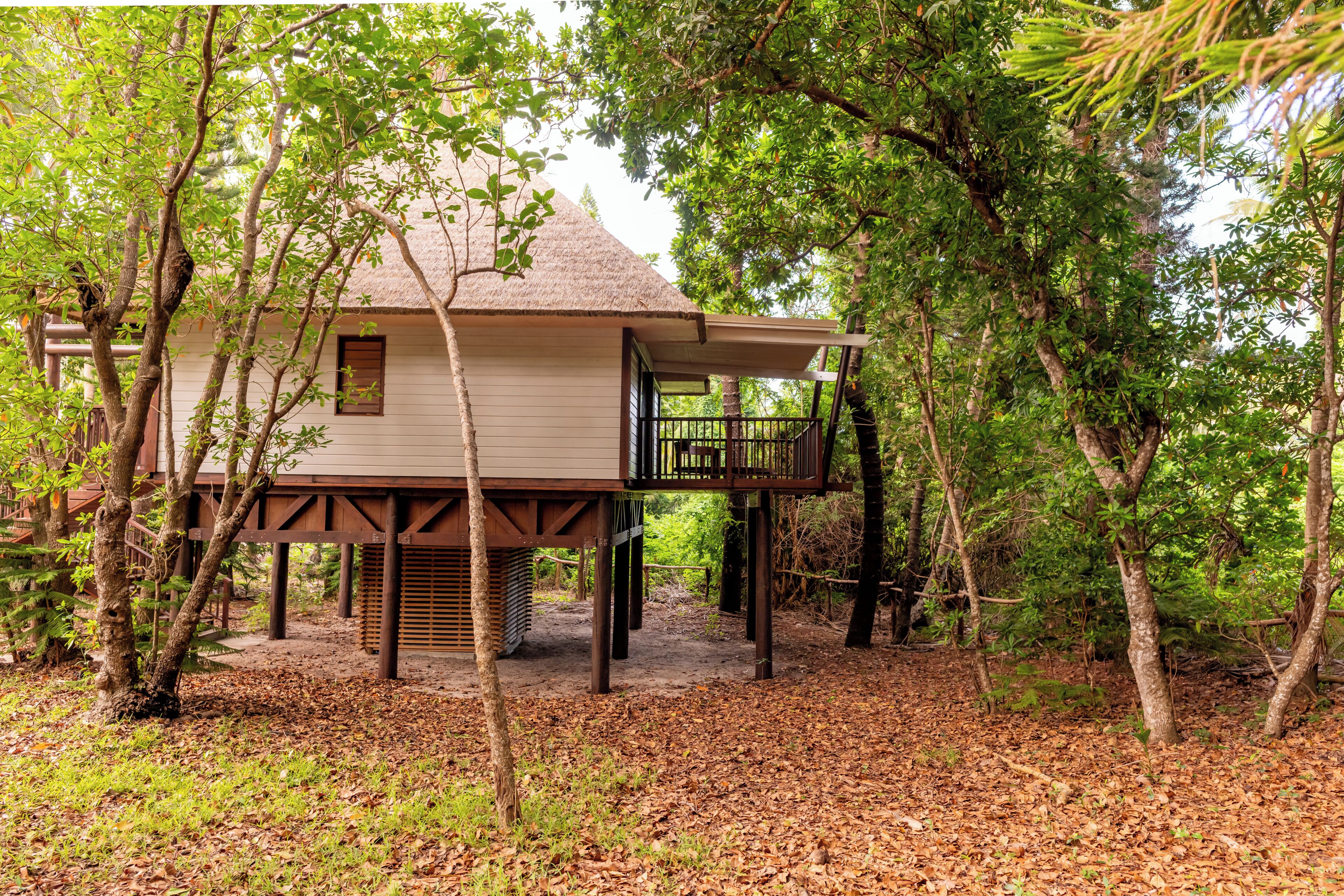 A treehouse with a thatched roof, wooden deck, and a small window.