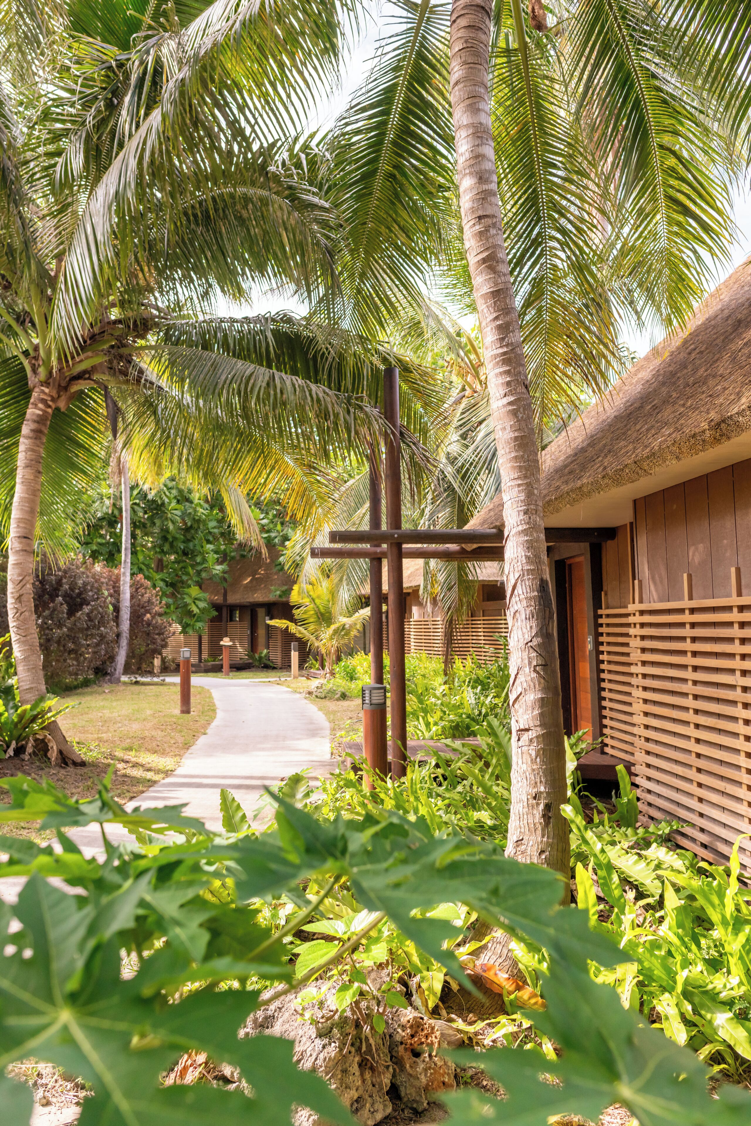 A pathway leading to a building with a thatched roof, surrounded by palm trees and lush greenery.