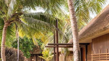 A pathway leading to a building with a thatched roof, surrounded by palm trees and lush greenery.