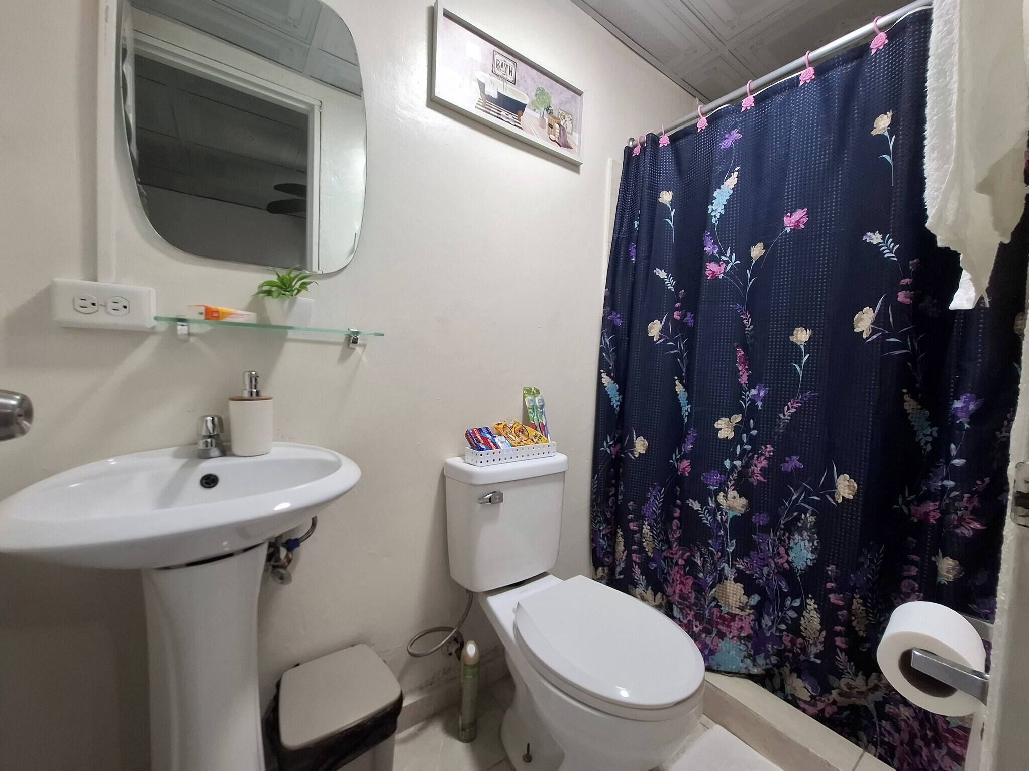 Suihku, hiustenkuivaaja