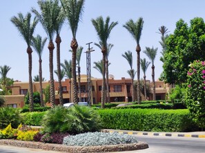 Jardines del alojamiento