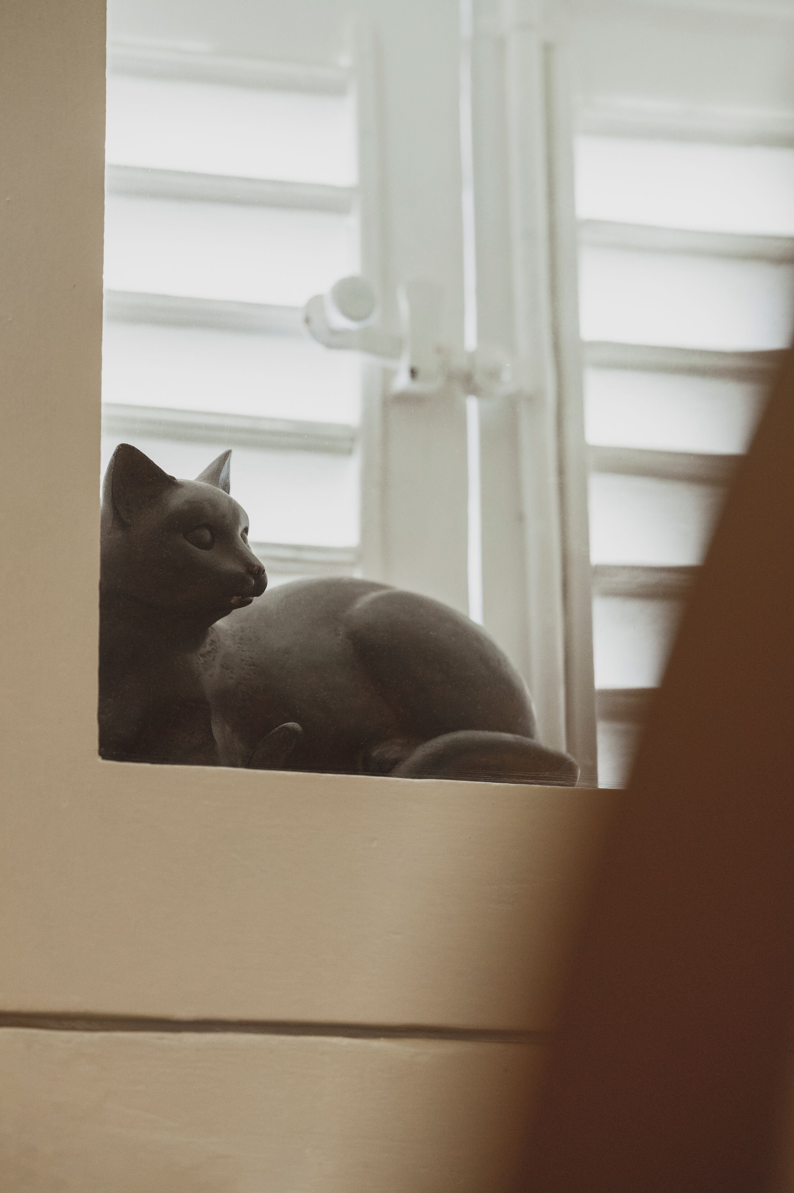 Un chat est assis près d’une fenêtre équipée de stores horizontaux.