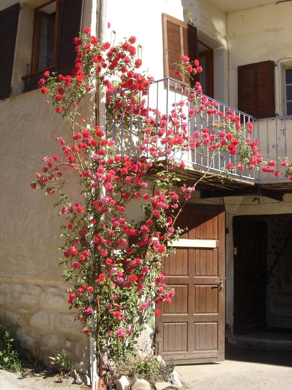 Exterior detail - Gite la petite cascade - Haut Verdon Val d'Allos (Allos)