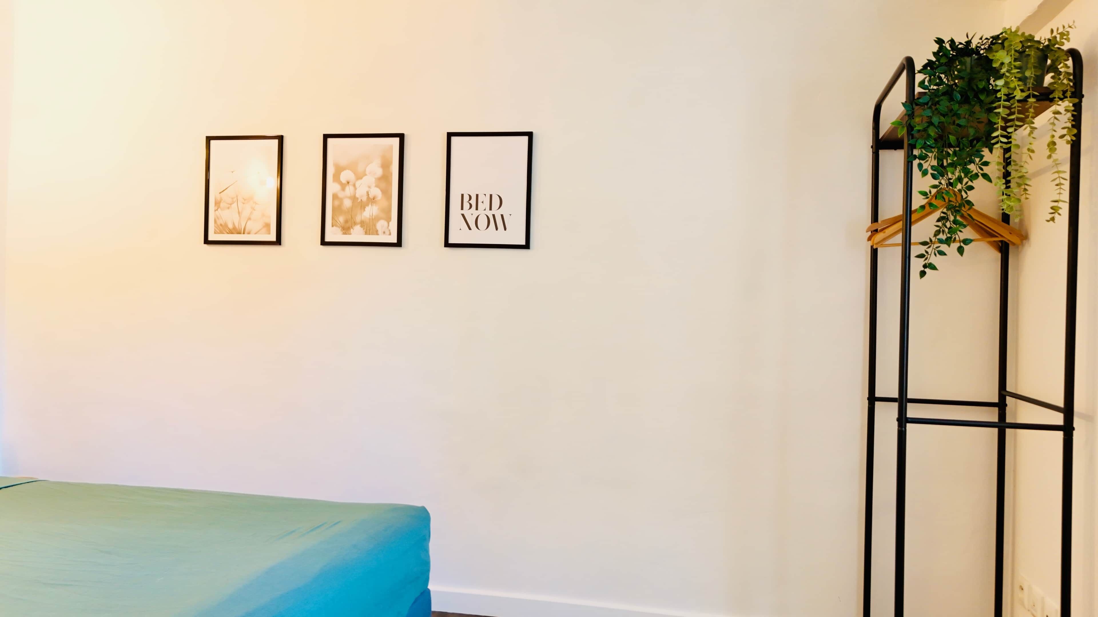 Una habitación con una cama, una planta en la pared y tres cuadros.