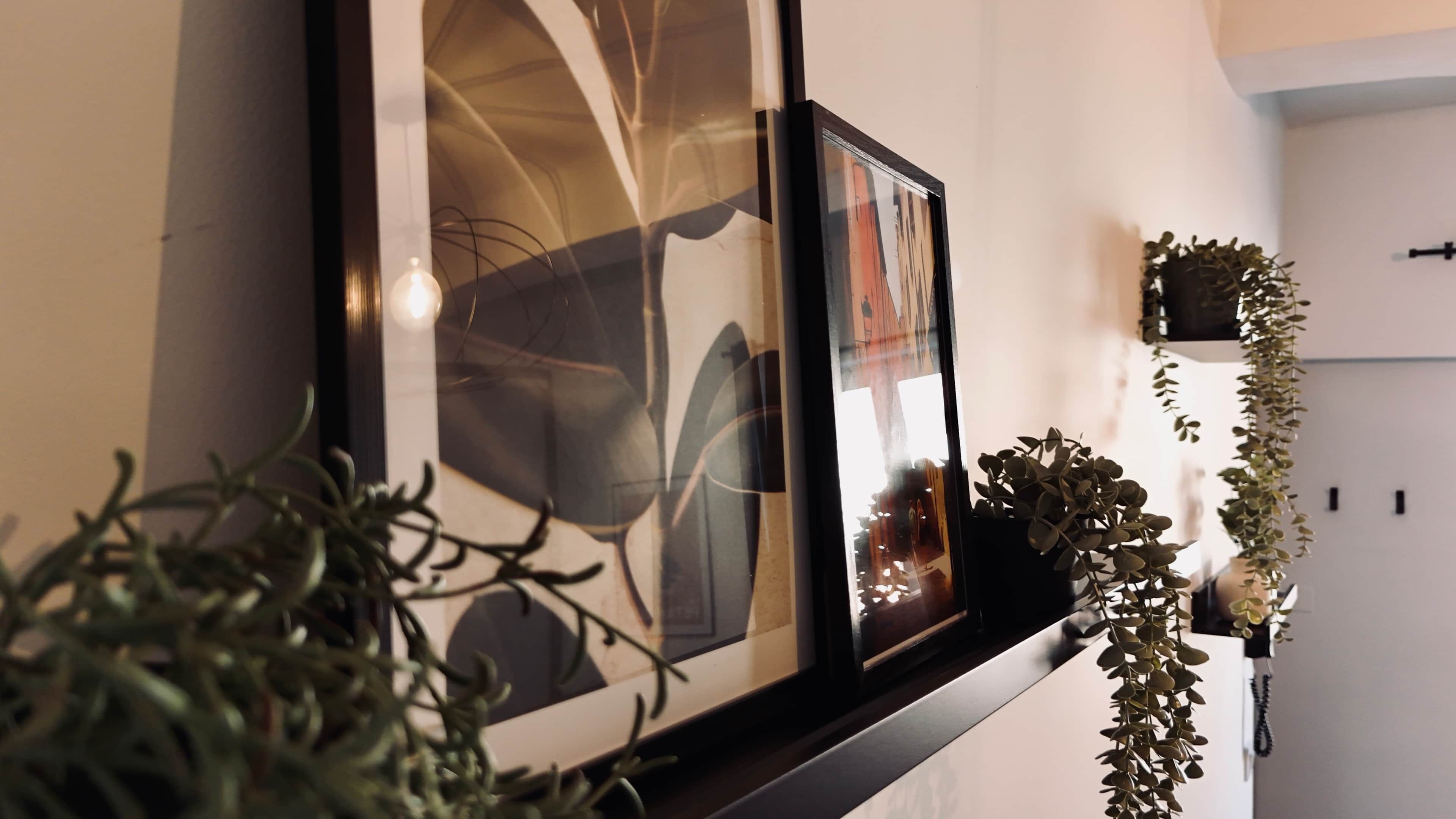 Un couloir orné de tableaux encadrés, avec une plante en pot et une plante suspendue.