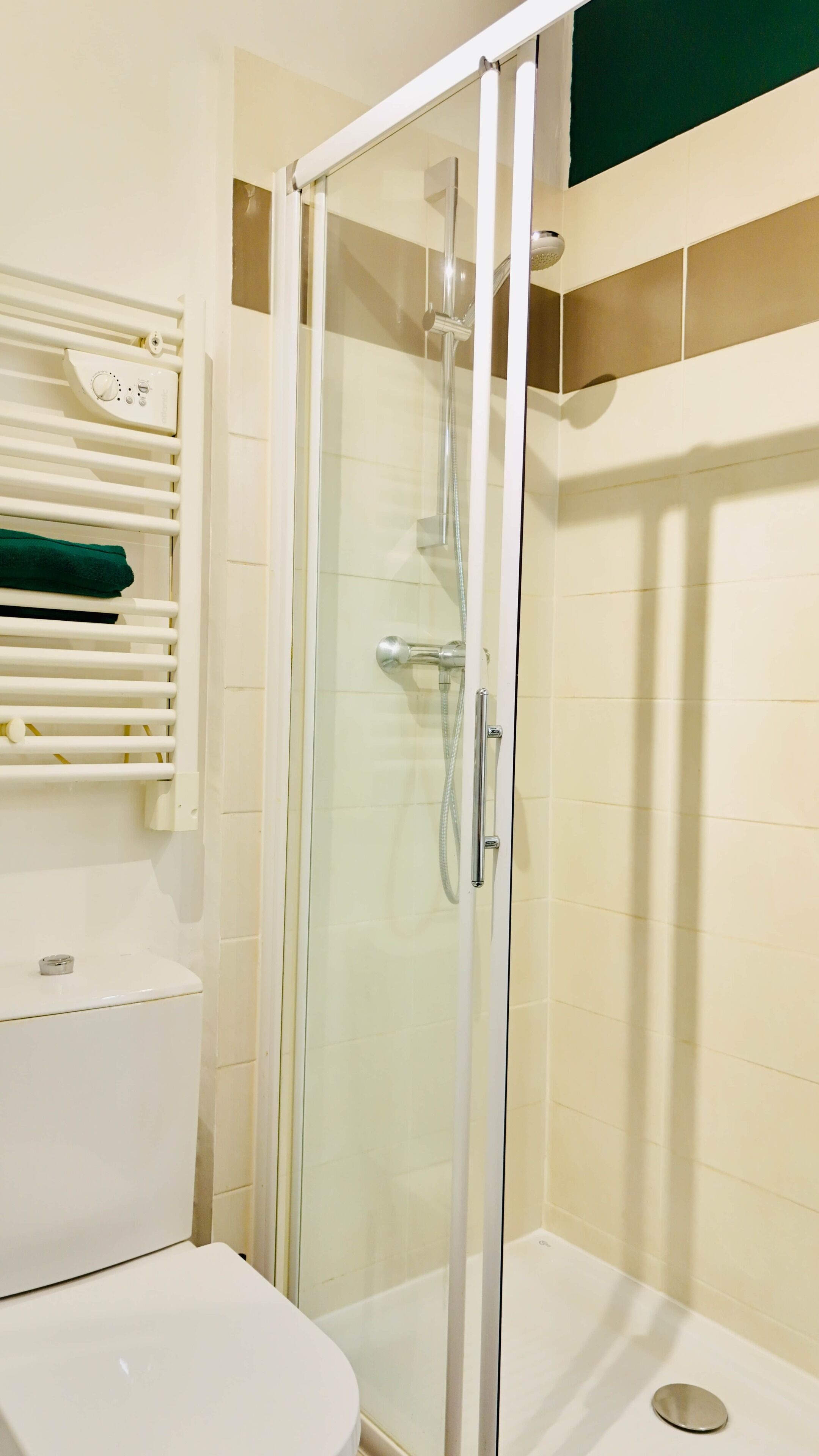 Une salle de bain avec une douche à parois de verre, des toilettes et un porte-serviettes.