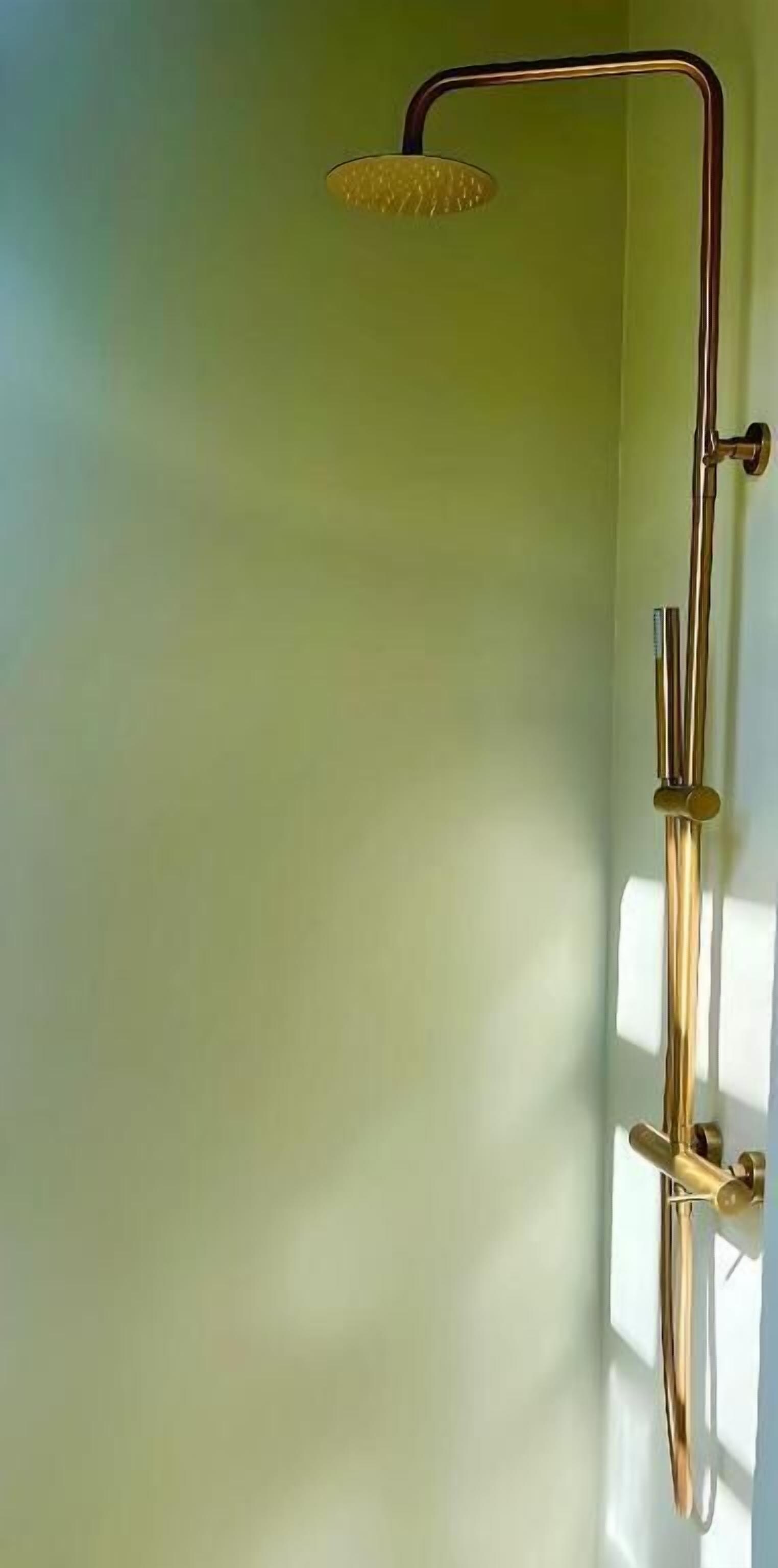 Hair dryer, towels, shampoo, toilet paper