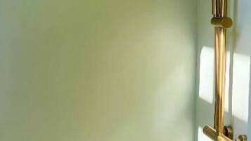 Hair dryer, towels, shampoo, toilet paper