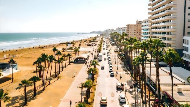 Een kuststraat met palmbomen en gebouwen aan het strand.