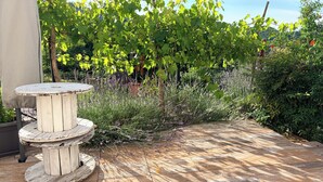 Een terras in de tuin met een ronde tafel, een druivenrank en verschillende planten.