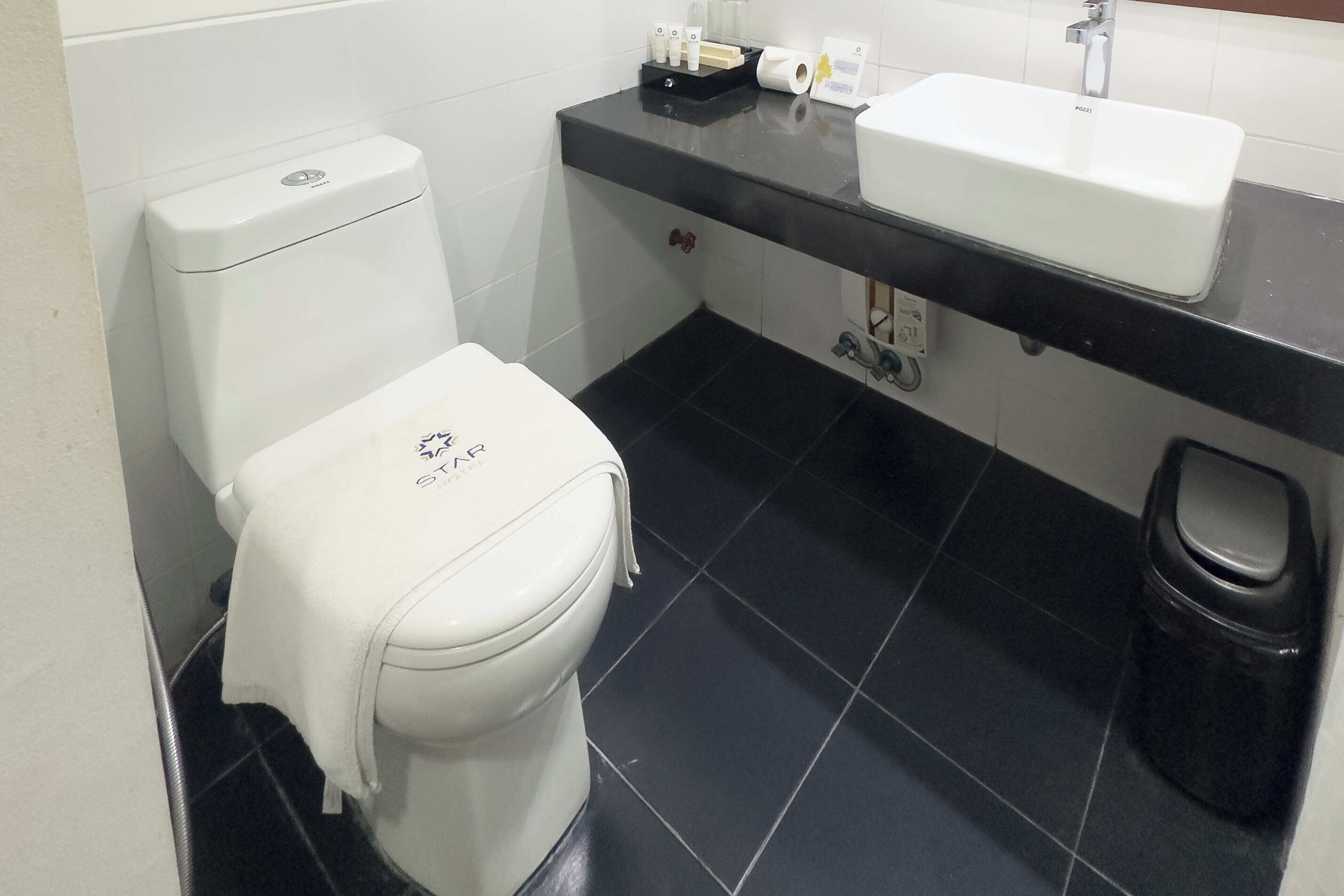 Deluxe Double Room | Bathroom