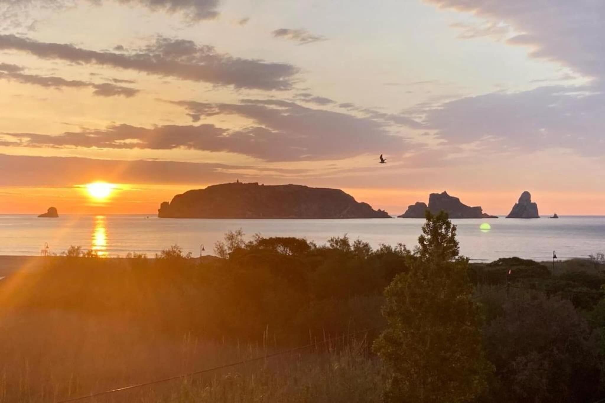Un coucher de soleil sur la côte, avec les silhouettes d’îles et un oiseau en vol.