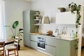 Fridge, oven, stovetop, dishwasher