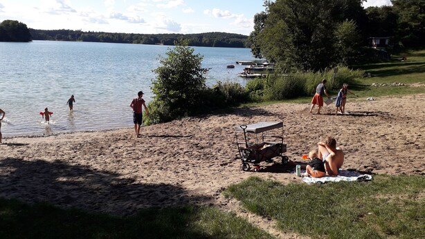 A sandy beach with a lake, boats, and a grassy area with trees. - Interesting vacation home by the lake and forest, Uckermark, Lychen the town of 7 lakes (Lychen)