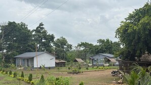 Un paisaje rural con varias casas pequeñas, una motocicleta y un campo con árboles jóvenes y arbustos.