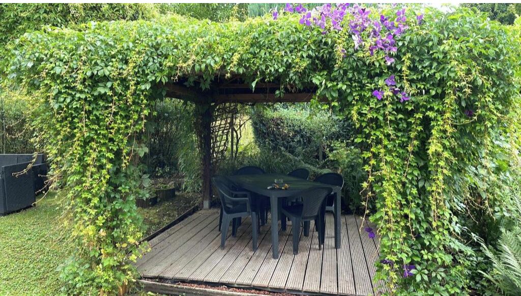 Een houten terras buiten, met een tafel en stoelen onder een pergola begroeid met groen loof en paarse bloemen.