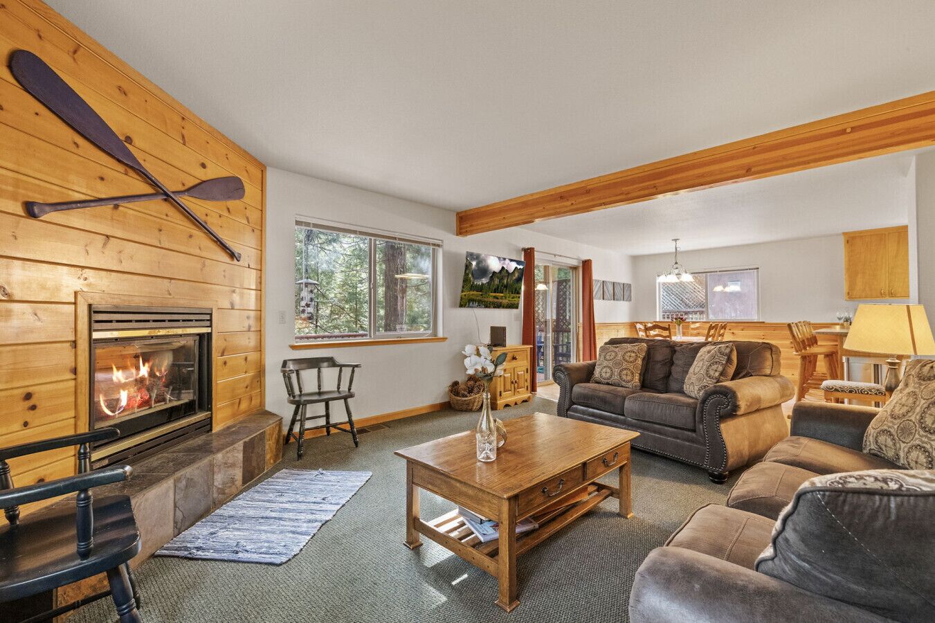 智能電視、壁爐、DVD 播放機、書籍