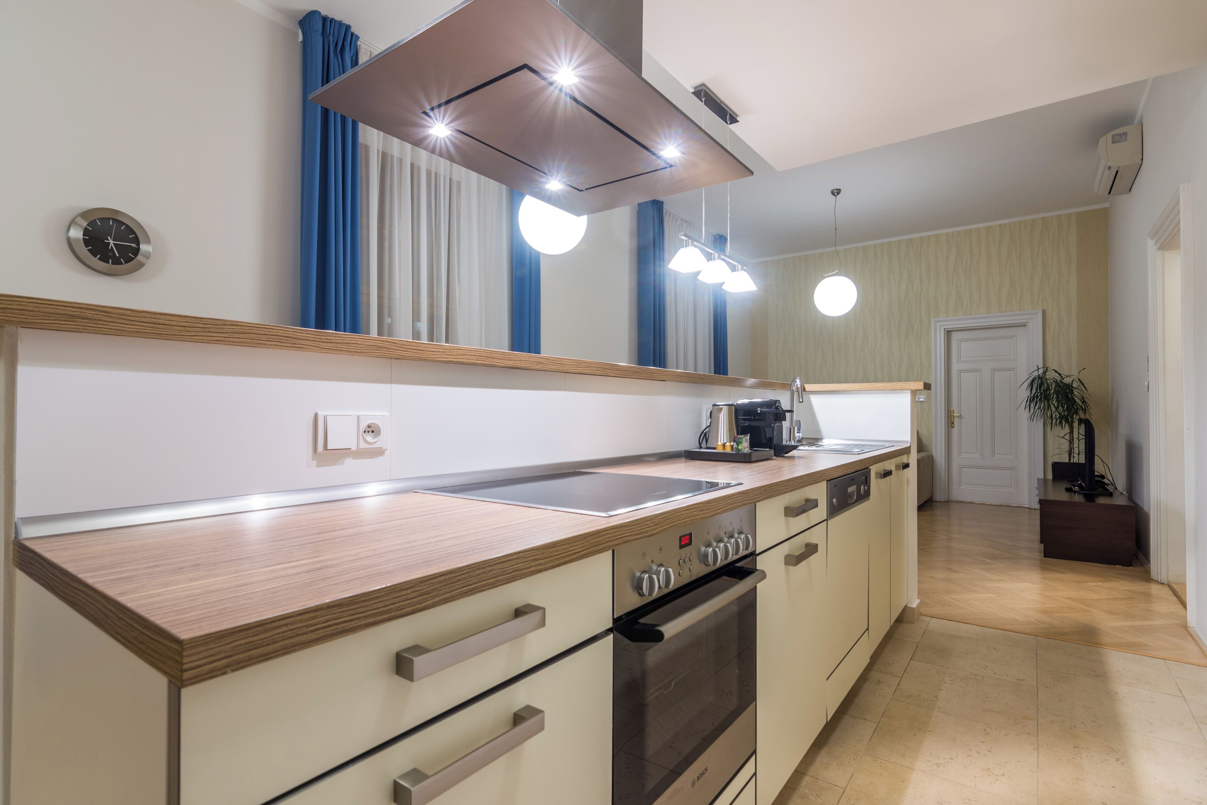 Deluxe Apartment | Private kitchen | Fridge, microwave, oven, stovetop