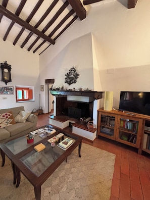 A cozy living room with a fireplace, a television, and a bookshelf. - IL PIETRAIO Guardistallo, a historic farmhouse surrounded by greenery (Guardistallo)