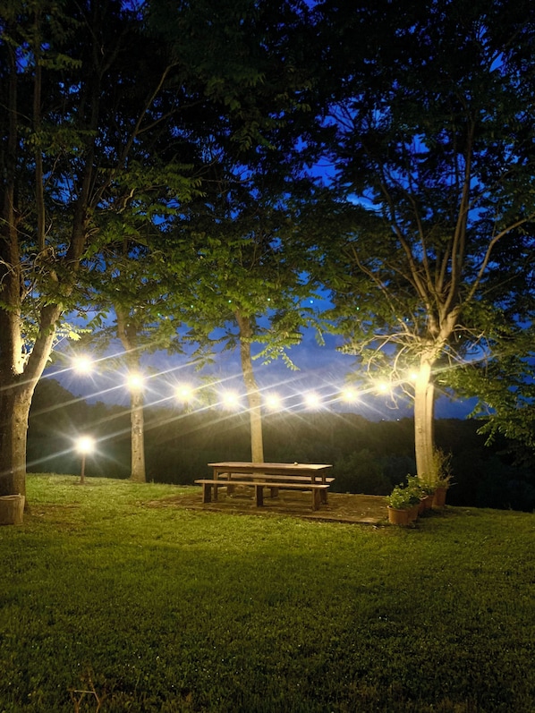 A park bench under trees with overhead lighting.