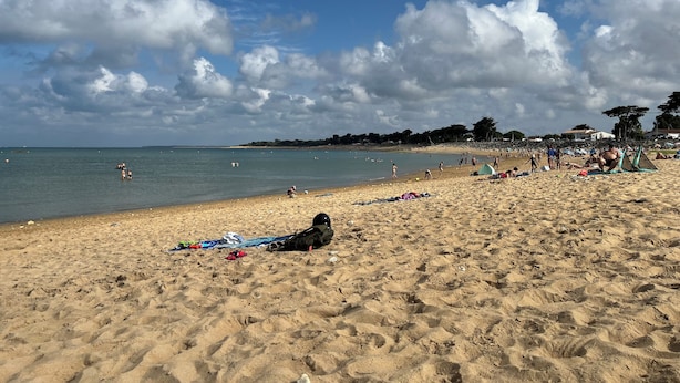 A sandy beach with people and tents, a clear sky, and a calm sea.