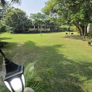 Property grounds
