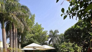 Un jardín bien cuidado con césped, un espacio de estar al aire libre y palmeras.