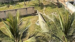 Een rieten dakgebouw met uitzicht op een strand, palmbomen en een helder uitzicht op de oceaan.