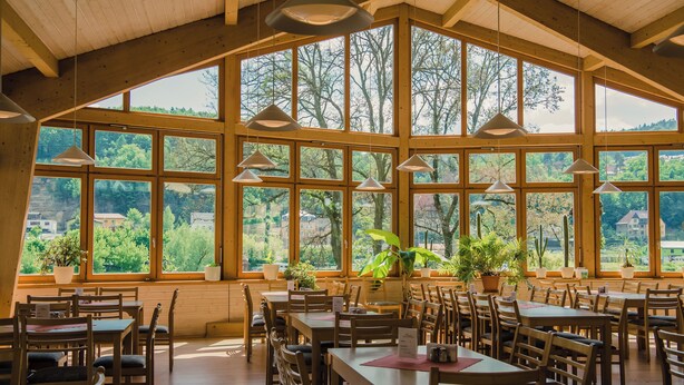 Een ruime eetruimte met houten tafels en stoelen, grote ramen met uitzicht op bomen en gebouwen, en hangende吊灯.