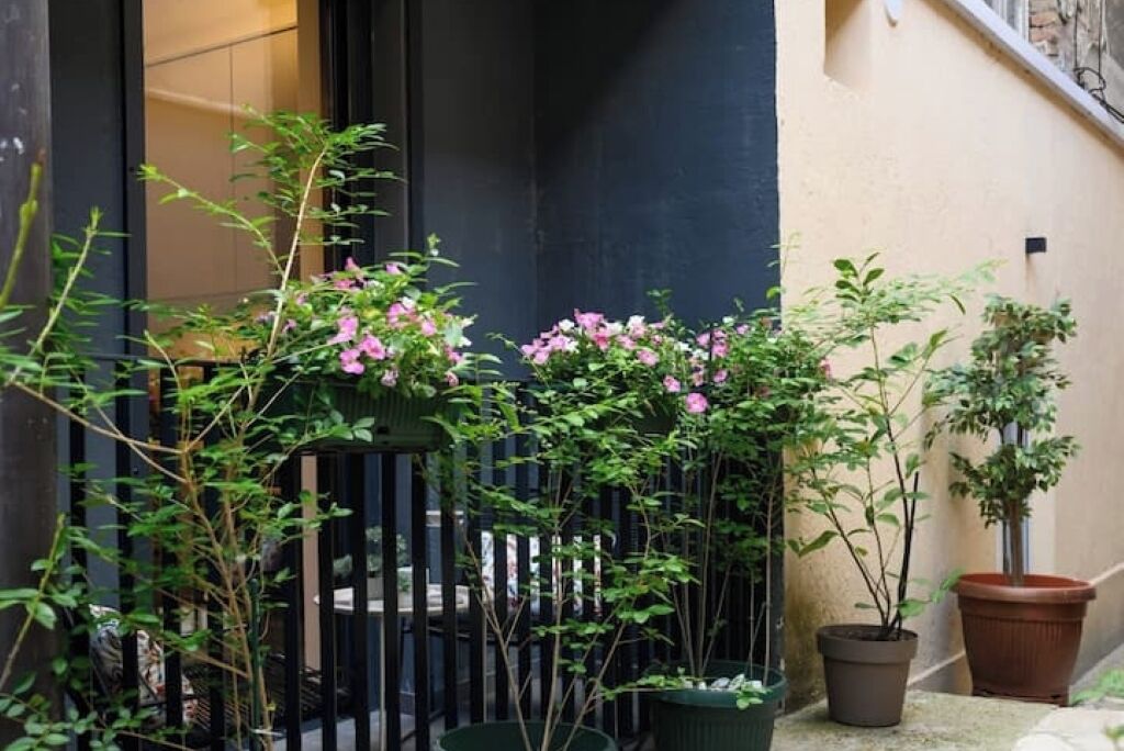 Jardines del alojamiento