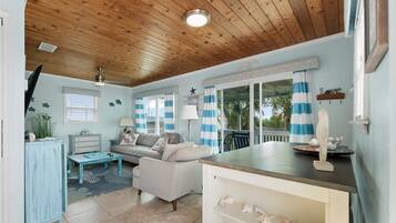 Smart TV, chimenea y libros