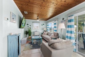 TV connectée, cheminée, livres