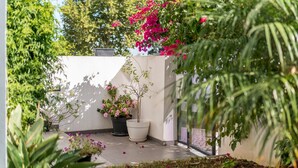 Een tuin met potplanten en bloemen, een witte muur en een metalen hek.