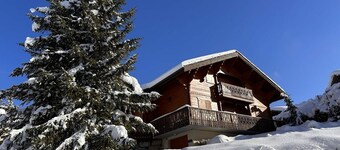 Typical Chalet 5 Bedrooms for 10 People with Wi-Fi and Terrace