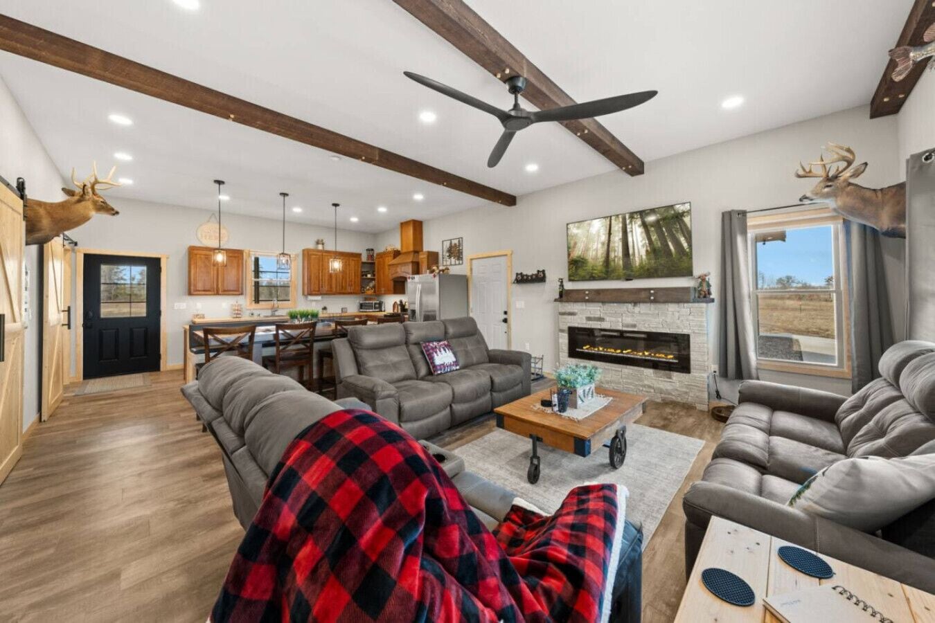 TV, fireplace, video games