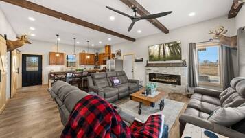 TV, fireplace, video games