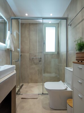 Shower, hair dryer, towels