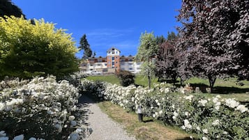 Áreas de la propiedad