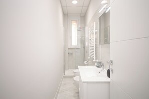 Shower, hair dryer, bidet, towels