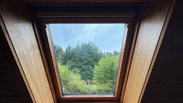 A skylight with a view of a forested area. - Charming Cottage with Vosges Mountain Views | Perfect for Walkers | Pets | WiFi  (Neuve-Église)