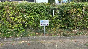 A paved walkway with a sign indicating a parking area for 'Barbat Home Gaste' with a no parking symbol.