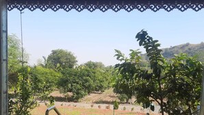 Un espacio al aire libre techado con vista a un jardín y árboles.